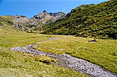 Alta Valvarrone col Pizzo Varrone (Valsassina).